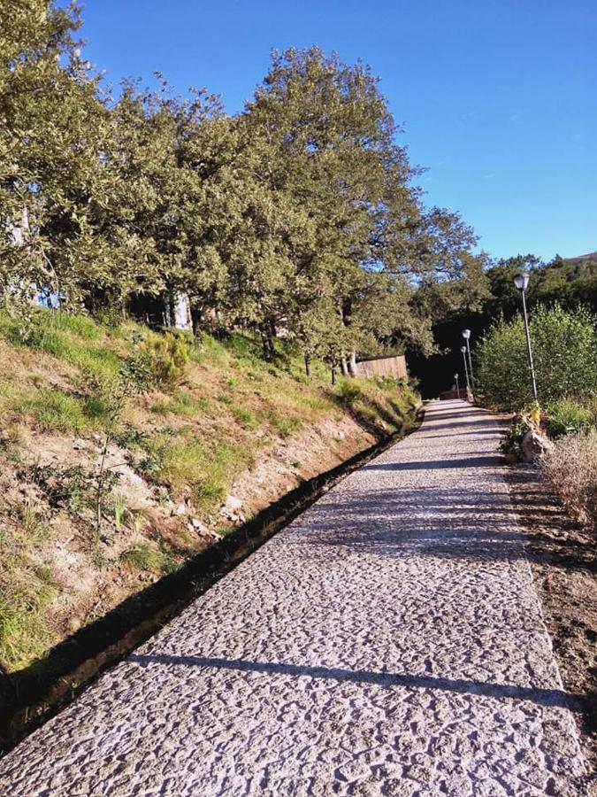 Ninho Da Avo Selvagem Villa Montalegre Luaran gambar
